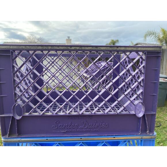 Vintage Santee Dairies Purple Plastic Milk Crate Metal Band Huskylite Dairy 999A - Picture 3 of 3